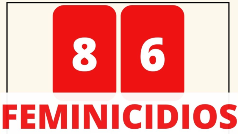 observatorios-verifican-86-feminicidios-en-2023-y-denuncian-“desproteccion-total”-por-parte-de-instituciones-cubanas