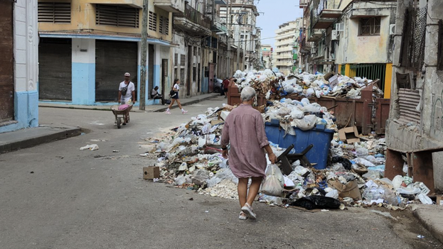 leptospirosis-skyrockets-in-cuba,-the-country-of-rats-and-mountains-of-garbage