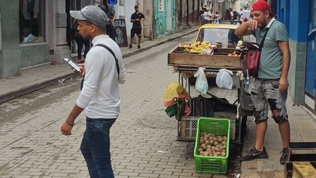 the-cuban-government-will-pay-farmers-more-for-potatoes