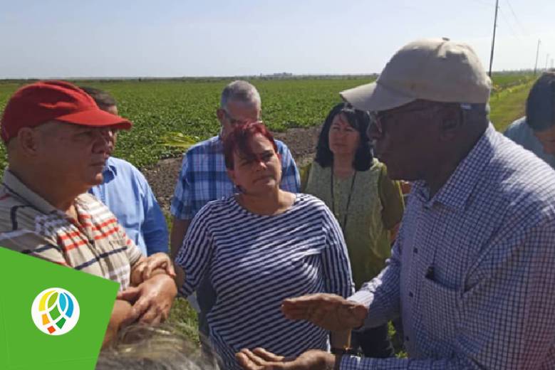 recorre-valdes-mesa-polo-productivo-de-pinar-del-rio