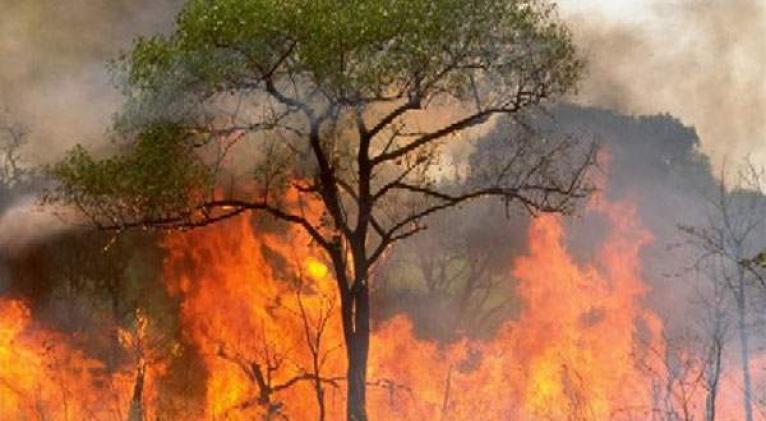 cuba-issues-anti-wildfire-regulations