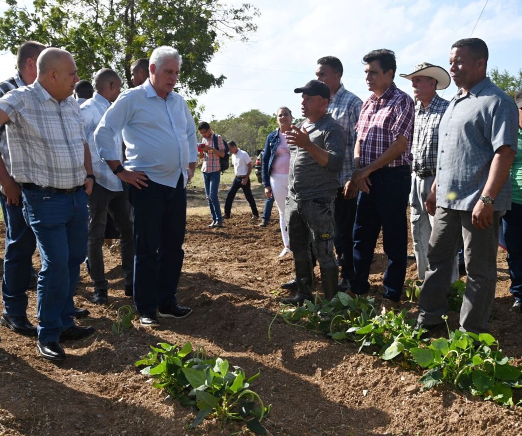 todos-a-las-bases,-es-aqui-donde-estan-los-buenos-ejemplos