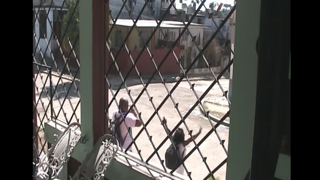 the-cuban-authorities-arrested-a-dozen-ladies-in-white,-says-berta-soler