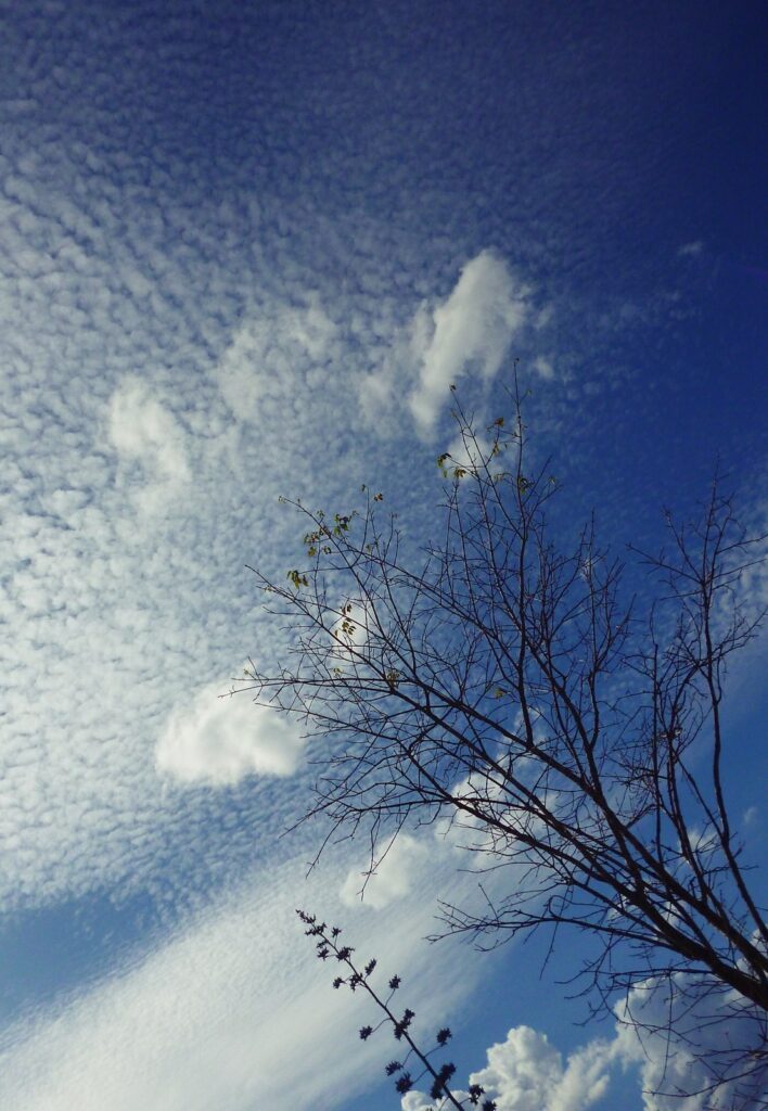 winter-clouds,-mayabeque,-cuba-–-photo-of-the-day