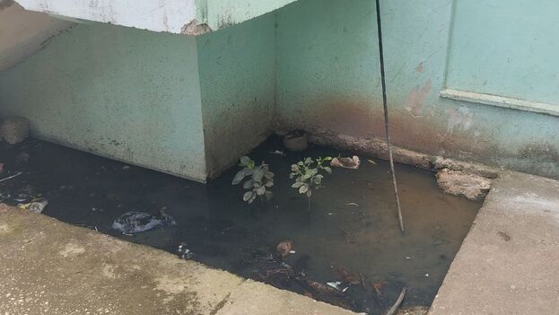 bad-smells-and-feces-floating-at-the-entrance-force-the-closure-of-a-doctor’s-office-in-holguin,-cuba
