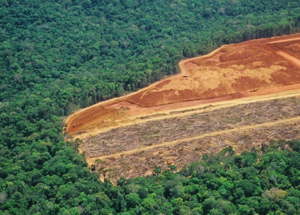 la-mitad-de-la-amazonia-puede-desaparecer-en-solo-26-anos-y-caotizar-el-clima-mundial