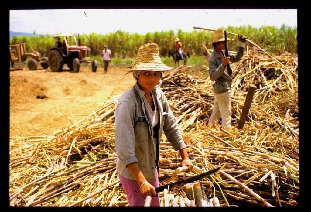 sugarcane-cutter,-matanzas,-cuba-–-photo-of-the-day