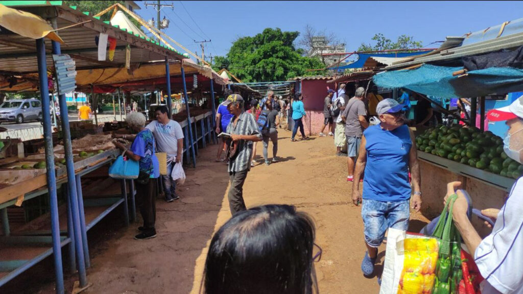 learning-to-eat-healthy-in-cuba,-where-everything-is-in-short-supply