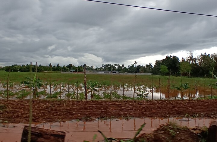 recuperacion-en-occidente-cubano-tras-evento-meteorologico