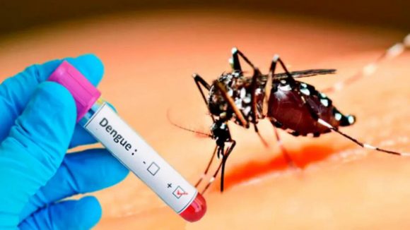 se-triplican-los-casos-de-dengue-en-las-americas,-advierte-la-ops