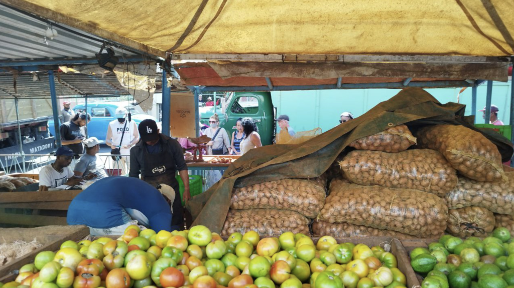 authorities-in-havana-investigate-the-theft-of-1,293-pounds-of-potatoes