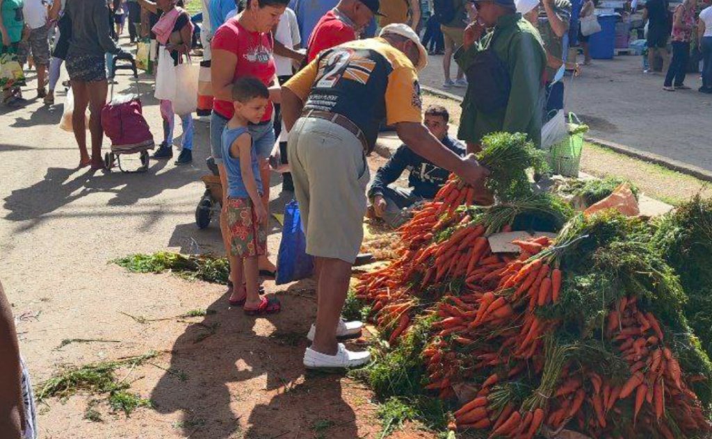 at-140-pesos-a-bunch,-the-price-of-carrots-on-the-streets-of-havana-has-doubled-in-one-year