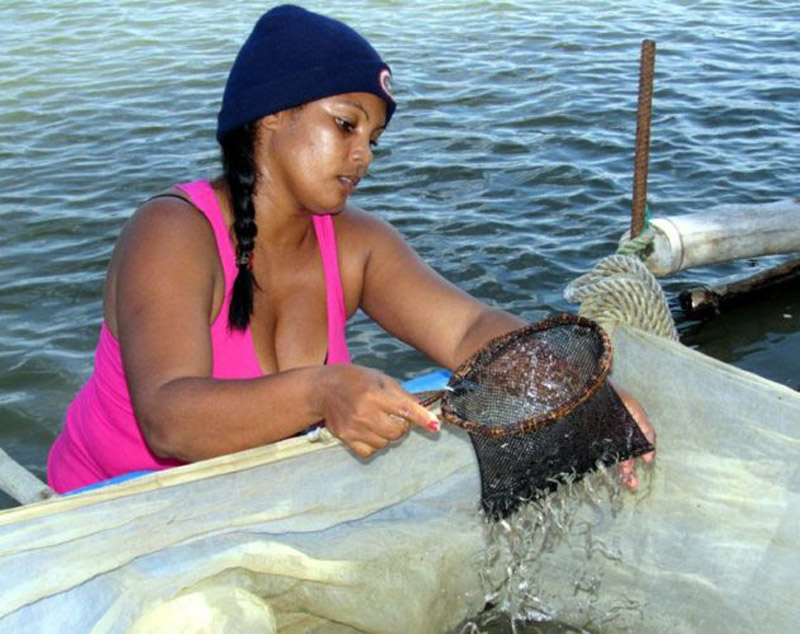 desarrollan-jornada-por-el-dia-del-trabajador-de-la-industria-pesquera