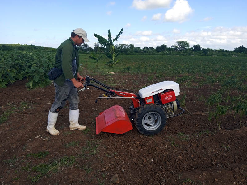 aporta-centro-universitario-de-“urbano-noris”-a-proyectos-agricolas