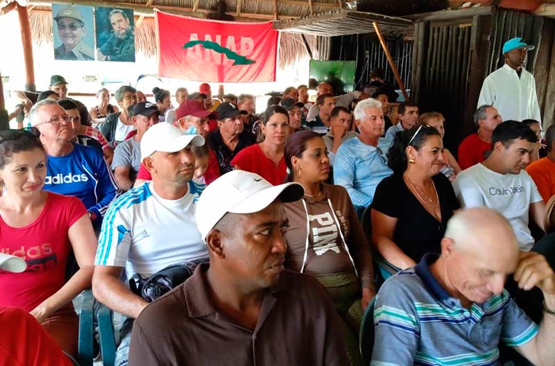 holguin:-campesinos-en-proceso-de-fortalecimiento