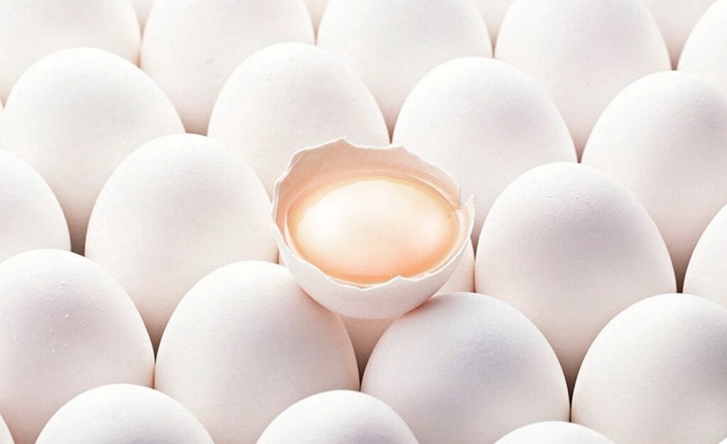 ¿huevos-de-yema-blanca-en-sancti-spiritus?-autoridades-develan-el-misterio