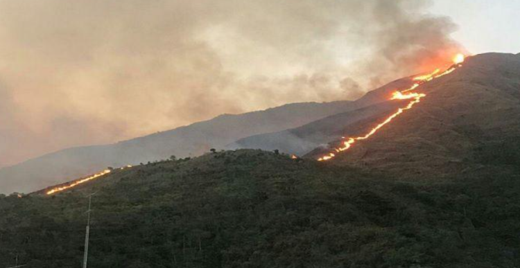 incendio-forestal-en-vinales-afecta-mas-de-300-hectareas
