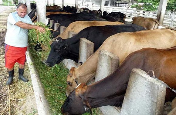 the-government-unearths-a-case-of-illegal-slaughter-of-livestock-to-warn-farmers