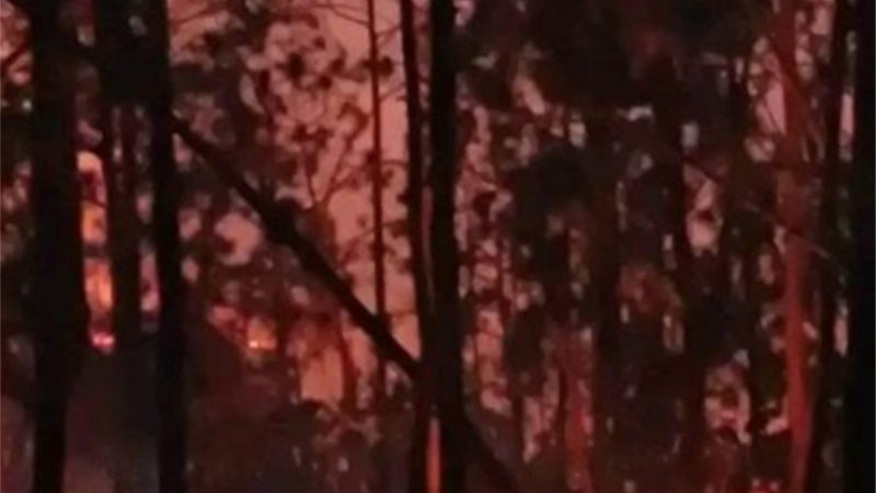 incendio-forestal-de-grandes-proporciones-devora-hectareas-de-pinos-cerca-de-vinales