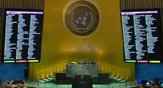 unga-grants-new-participation-rights-for-palestine-at-united-nations