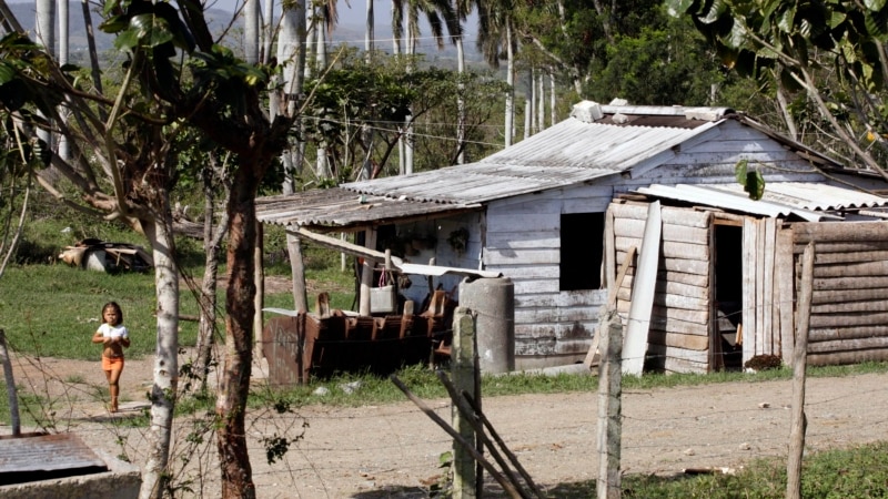 “hay-tristeza-en-los-campos-de-cuba”,-agricultores-dicen-que-este-17-de-mayo-no-hay-nada-que-celebrar