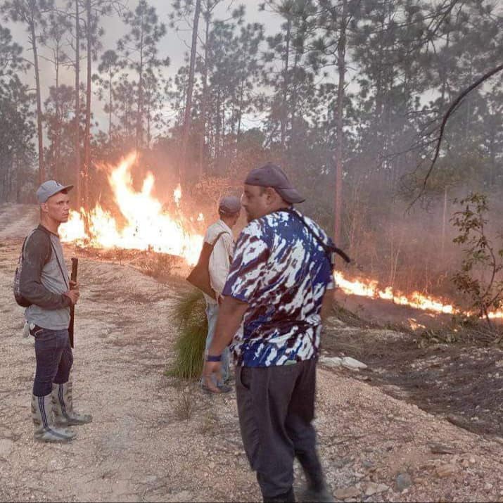 pinar-del-rio-reporta-incendio-forestal-de-grandes-proporciones-(+-fotos)