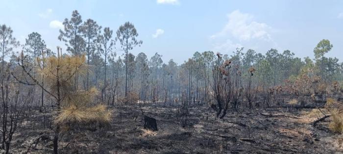 controlan-en-pinar-del-rio-uno-de-los-dos-incendios-forestales-que-afectan-el-territorio