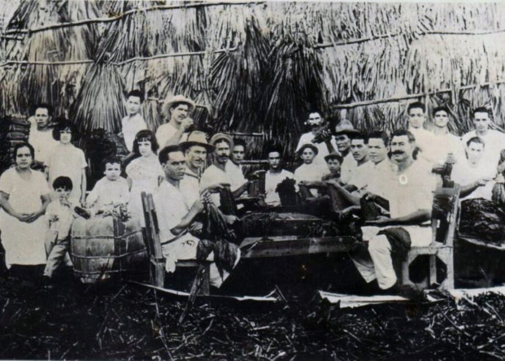 el-tabaco-cubano:-viajero-insular