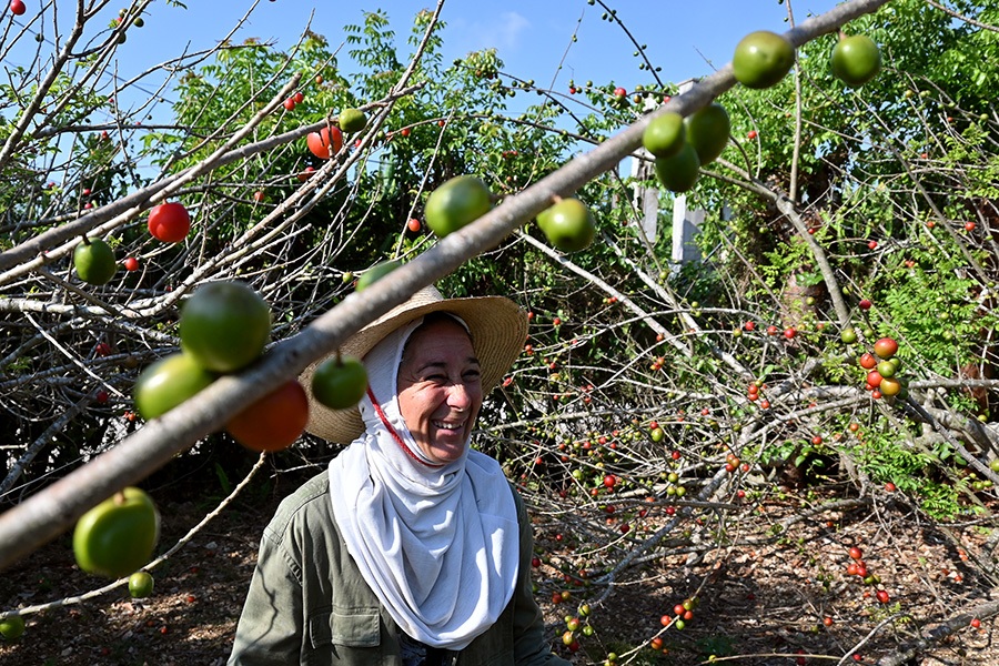 agricultora-aspira-a-multiplicar-oportunidades-de-la-permacultura-en-cuba