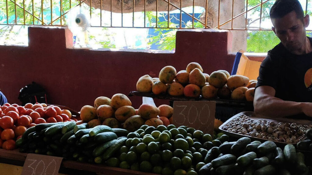 in-cuba-the-lowly-cucumber-is-becoming-more-expensive-every-day