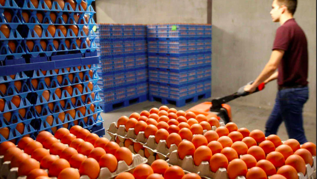 colombia-plans-to-send-40-million-eggs-to-cuba-before-the-end-of-the-year