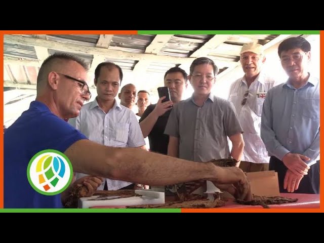 vietnam-y-cuba-intercambian-experiencias-en-pinar-del-rio-(+video)