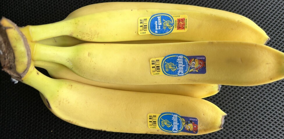 judgement-on-chiquita-brands,-a-milestone-for-human-rights