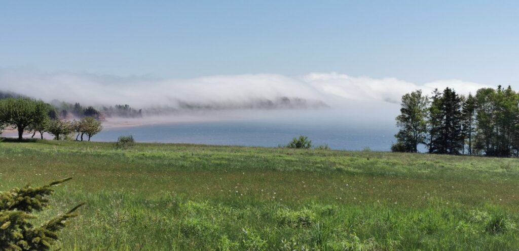 morning-fog,-nova-scotia,-canada-–-photo-of-the-day