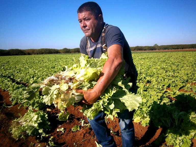 cuban-state-company-acopio-owes-five-million-pesos-to-the-farmers-of-cienfuegos
