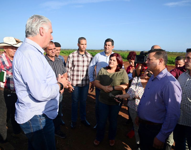 diaz-canel-llama-a-la-diversificacion-de-producciones-durante-visita-por-sitios-de-interes-en-pinar-del-rio