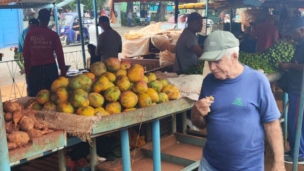 despite-an-abundant-harvest,-the-price-of-mango-has-skyrocketed-to-80-pesos-a-pound
