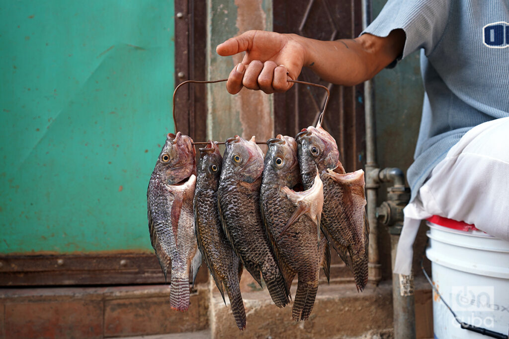 gobierno-debate-ley-de-pesca-vigente-con-pescadores-porque-“falta-comprension”