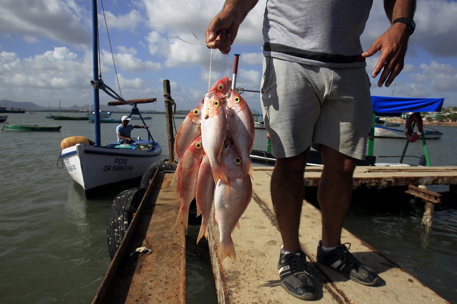 debate-sobre-ley-de-pesca-en-cuba-promueve-alianzas