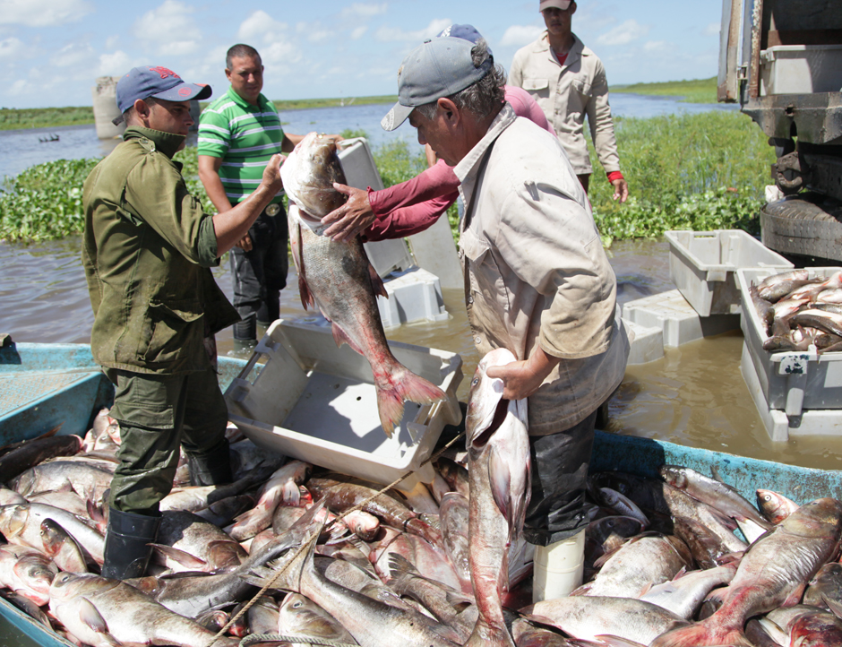 noticias-chinchorreadas-en-la-presa-zaza