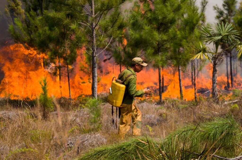 abril-y-mayo,-los-meses-mas-incendiarios-para-los-bosques-cubanos-en-2024