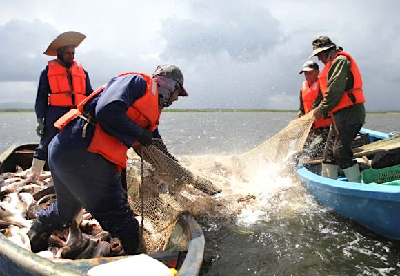 miraculous-fishing-in-the-zaza-reservoir-thanks-to-the-drought-or-how-to-turn-a-setback-into-victory