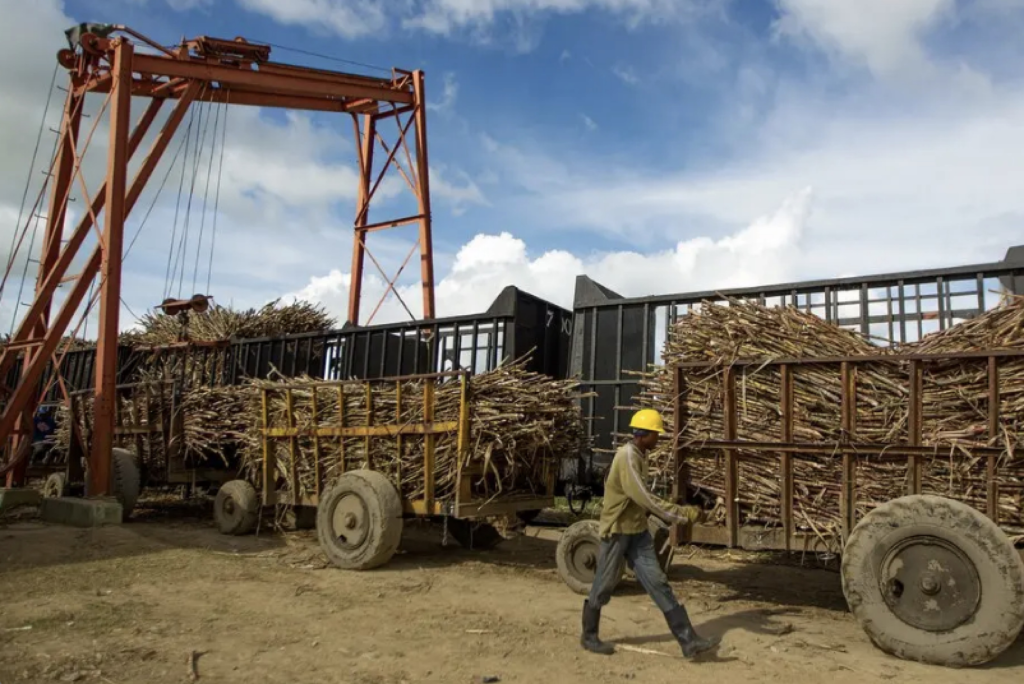 food-production-in-cuba-is-going-through-its-worst-moments