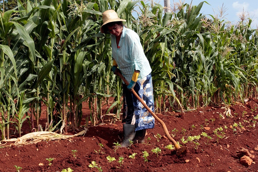 mujeres-que-emprenden-en-el-campo-cubano