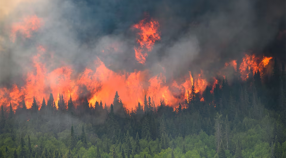 cambio-climatico-y-efectos-de-el-nino-alimentan-incendios-en-la-amazonia