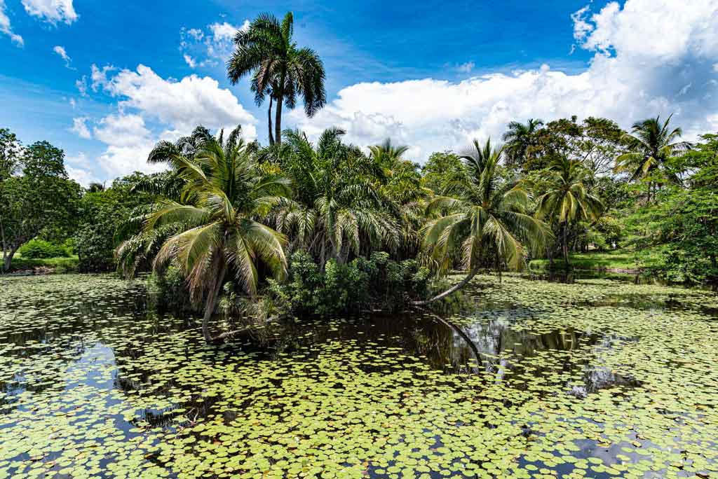 parques-nacionales-y-turismo-a-la-par-en-cuba-(+fotos)