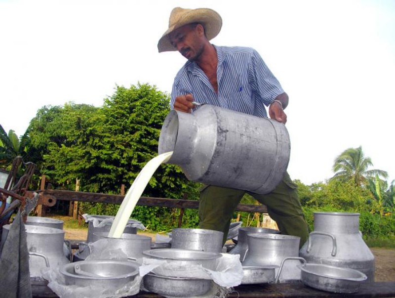 avanzan-municipios-holguineros-en-comercializacion-de-leche-para-ninos