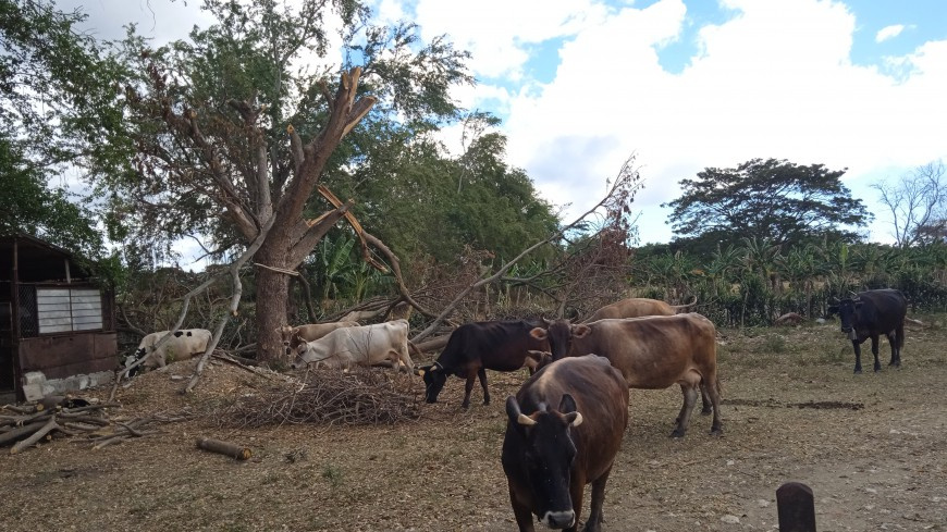 counter-insurgency-tactics-are-applied-in-santiago-de-cuba-to-investigate-farmers