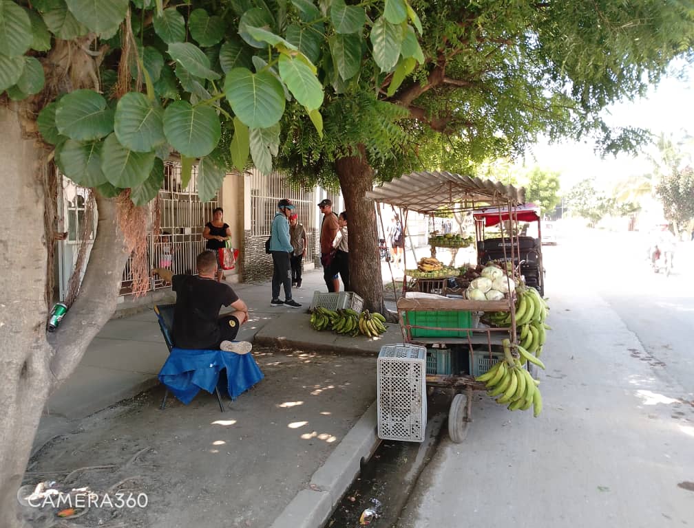 another-luxury-in-cuba:-working-in-what-you-studied