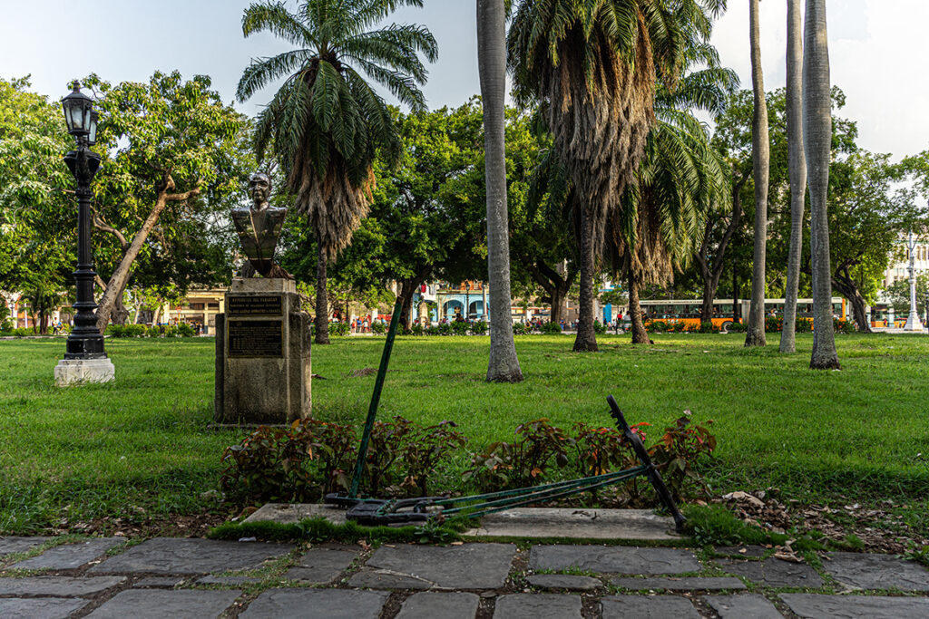 el-parque-de-la-fraternidad-y-el-silencio-de-la-ceiba